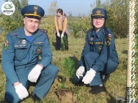 Сегодня в Березово прошла Акция "Сохраним лес" в рамках Международной экологической акции "Спасти и сохранить"